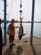 Ferdinand hat den größten Thunfisch der Familie gefangen, 65,8 kg Januar 2010, Liberia